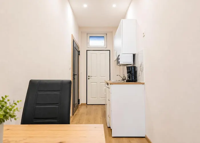 Multiple And At The Heart Of Apartment Vienna